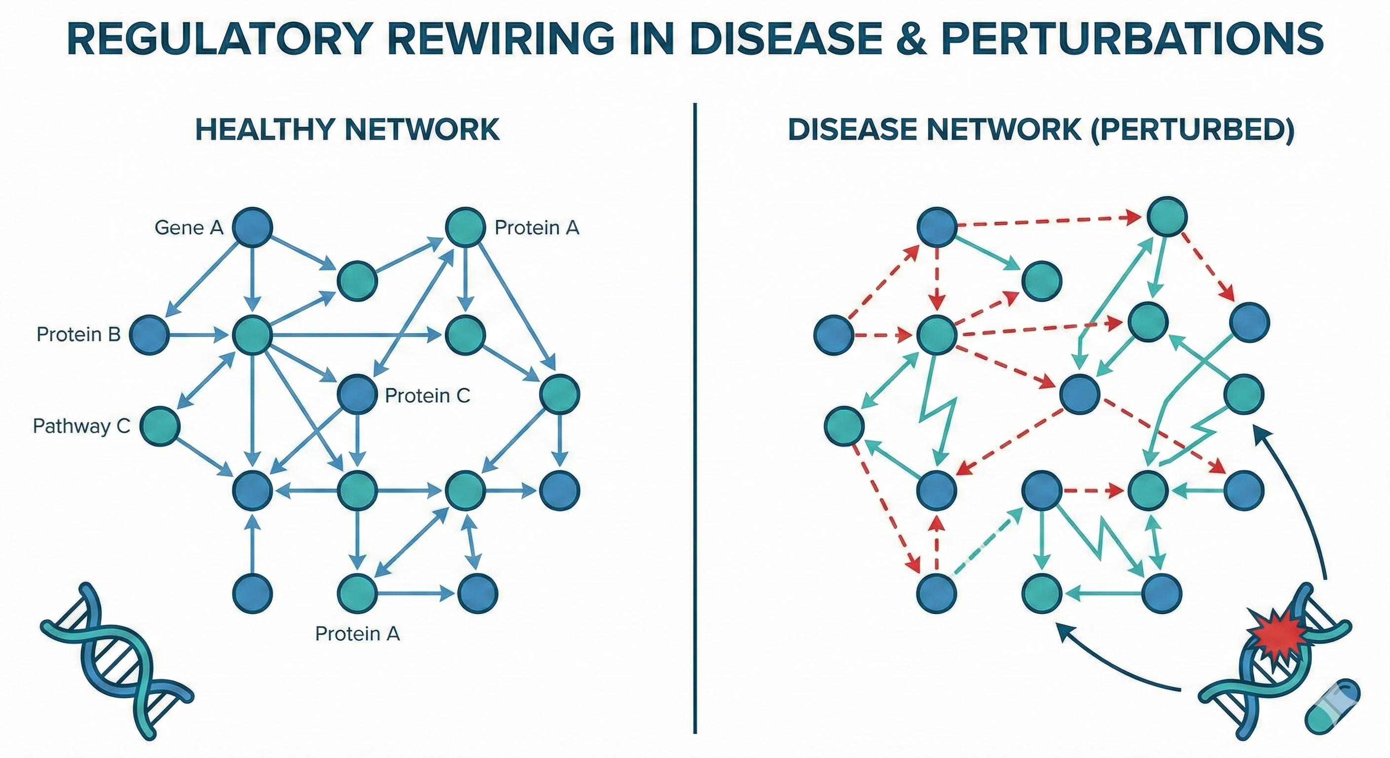 Disease Rewiring